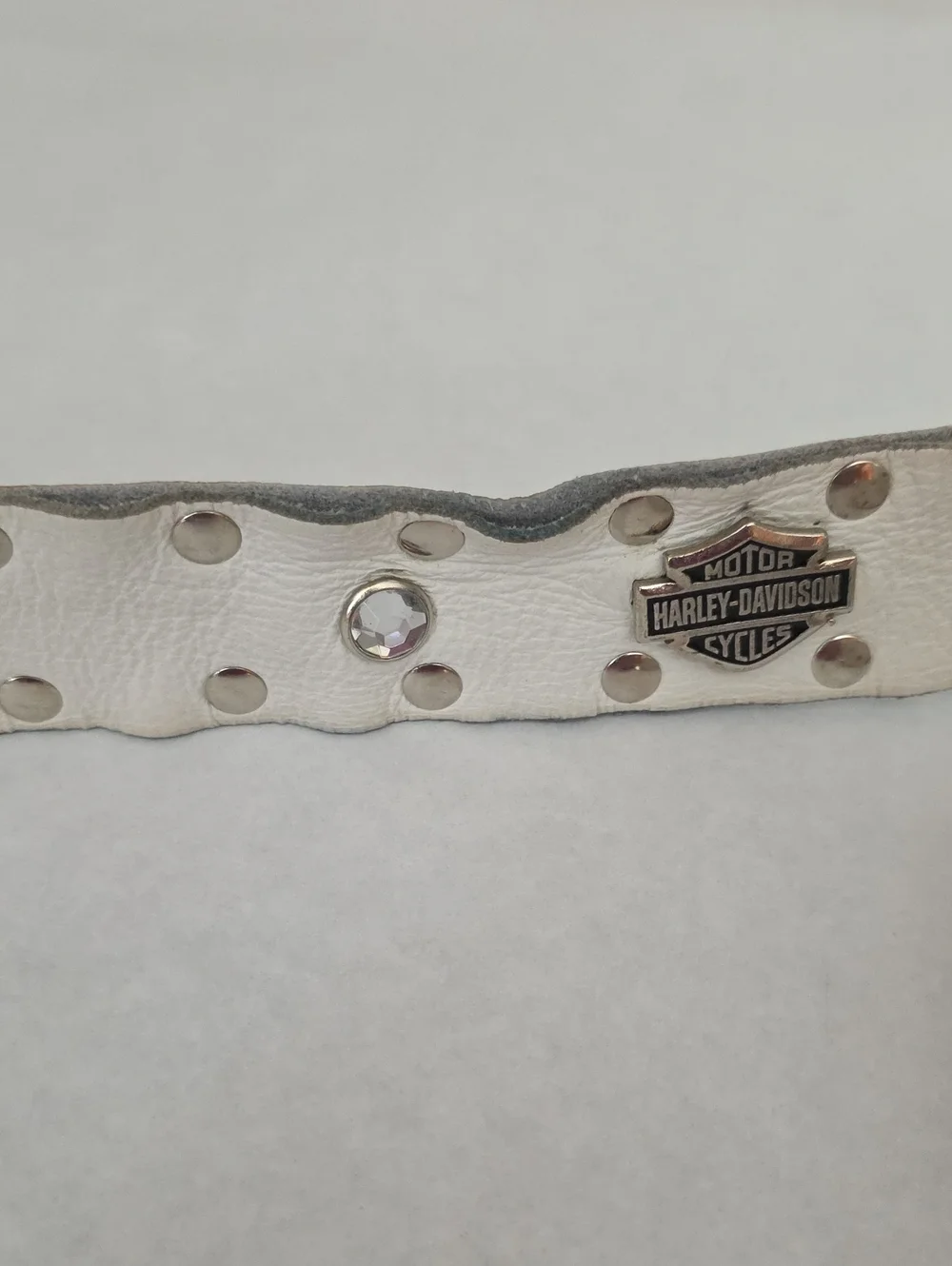 Harley-Davidson this pre